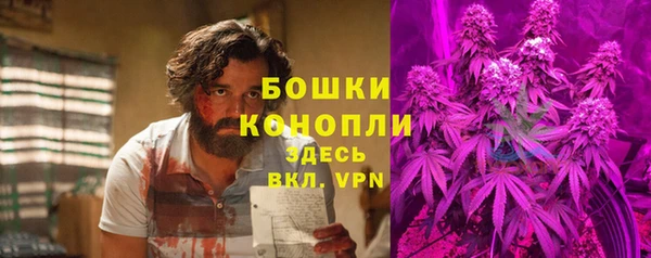 ПСИЛОЦИБИНОВЫЕ ГРИБЫ Карталы