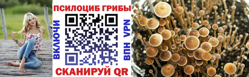 Псилоцибиновые грибы MAGIC MUSHROOMS  Купить  Сретенск 